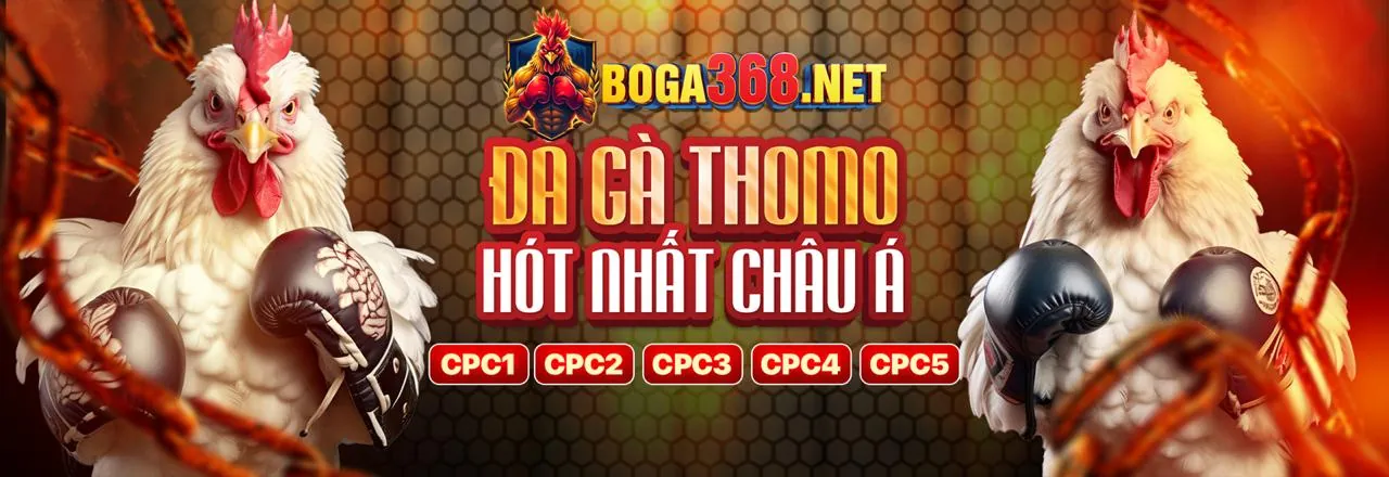 Cài đặt ứng dụng 789BET trên Android